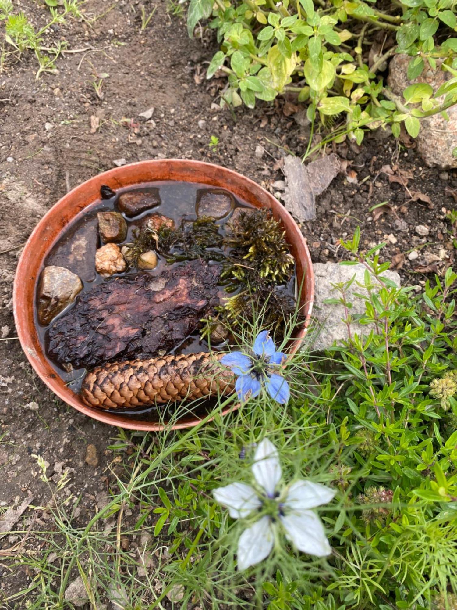 Domek Dzika Roza Szklarska Poreba Extérieur photo